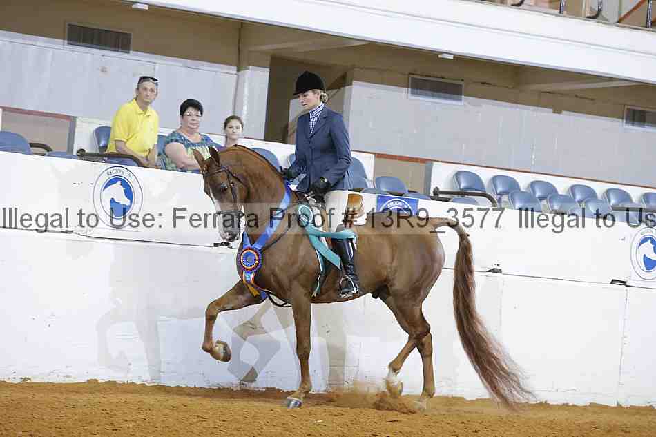 Proof 13r9_3577