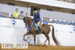 13r9_3577 proof