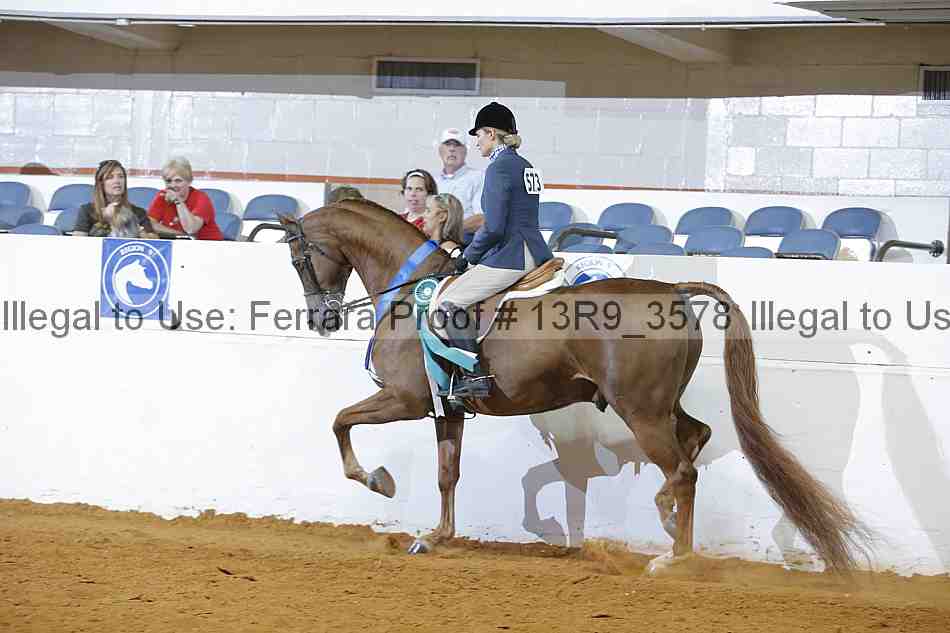 Proof 13r9_3578