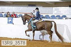 13r9_3578 proof