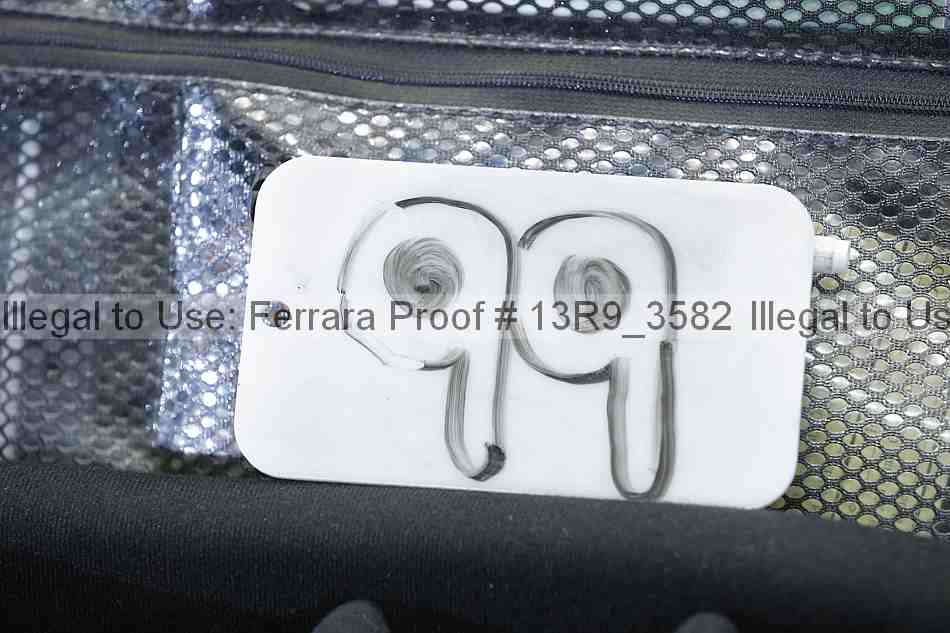 Proof 13r9_3582