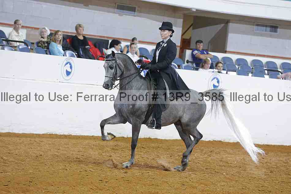 Proof 13r9_3585