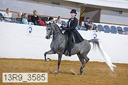 13r9_3585 proof