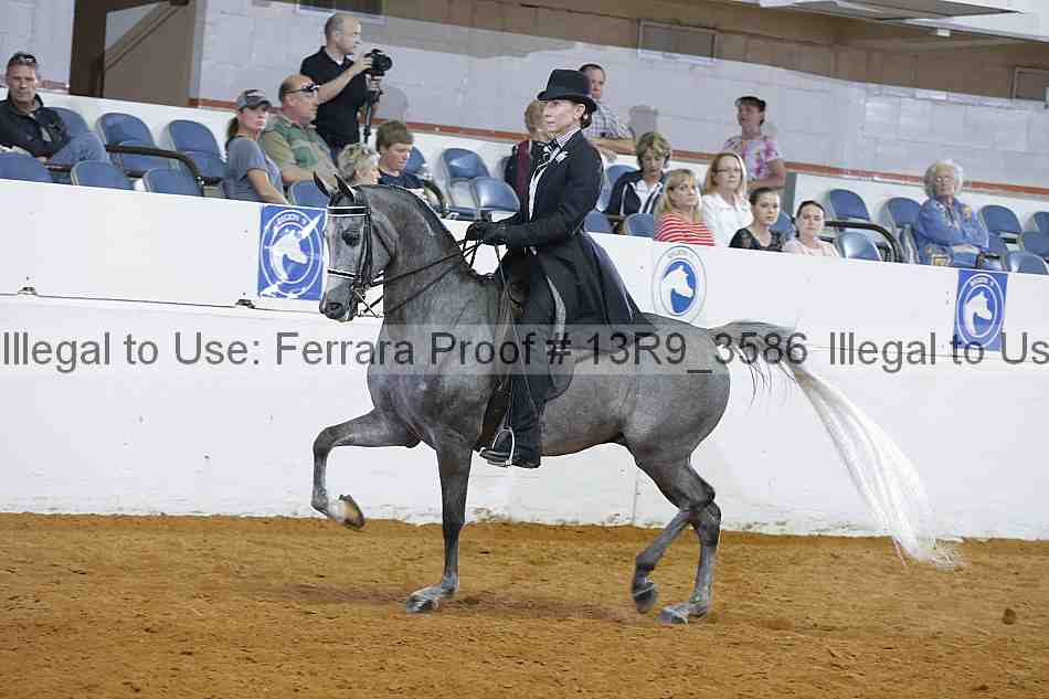 Proof 13r9_3586