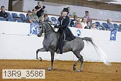 13r9_3586 proof