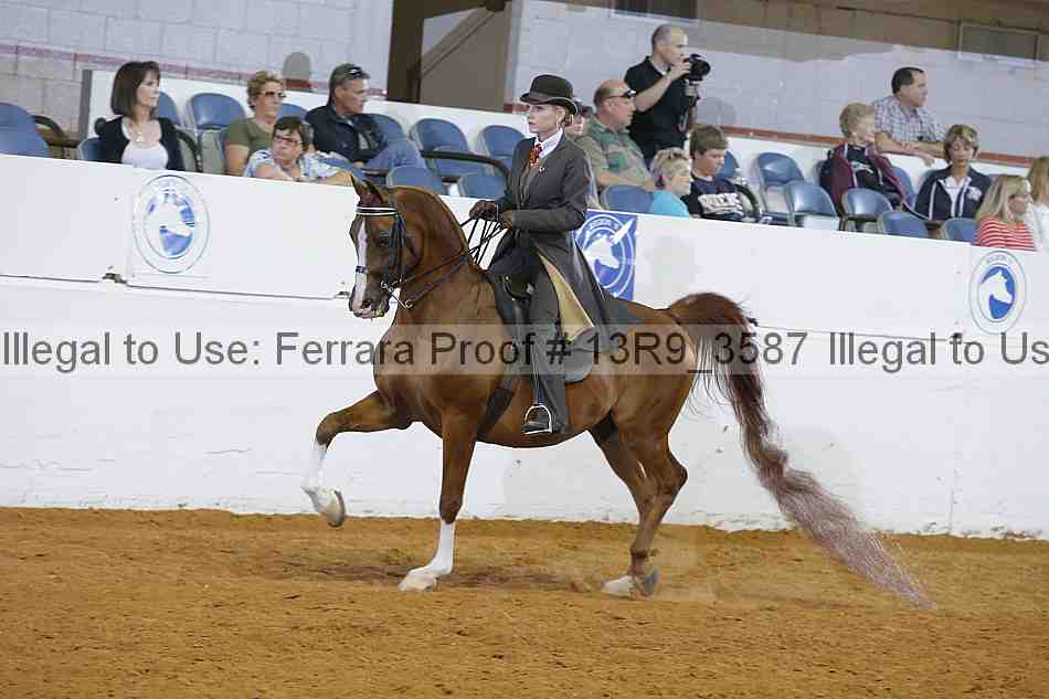 Proof 13r9_3587