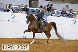 13r9_3587 proof
