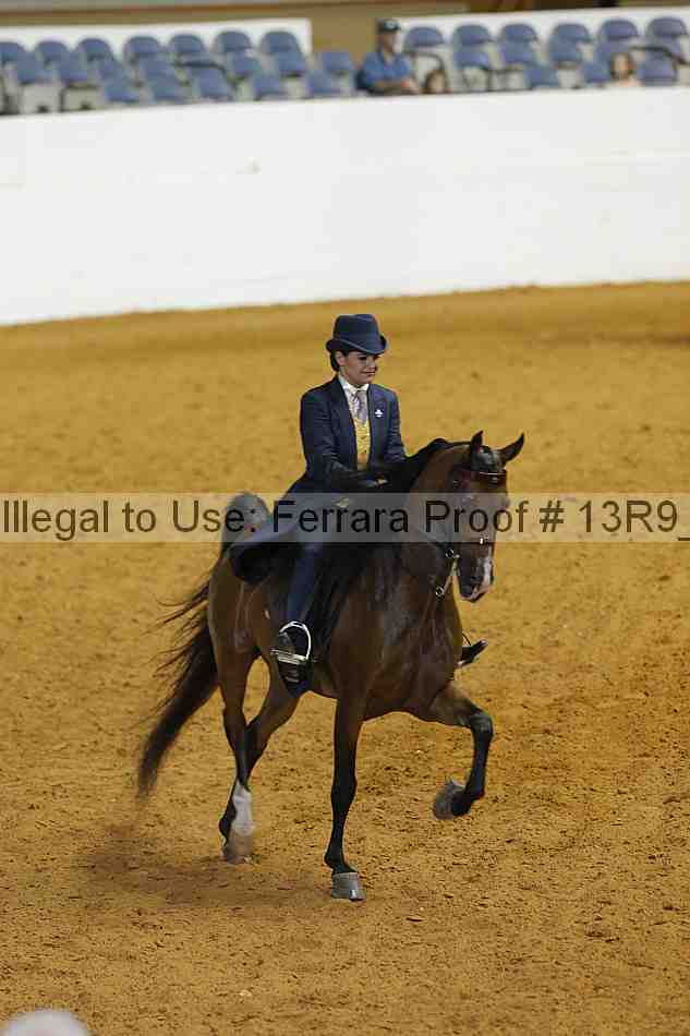 Proof 13r9_3589