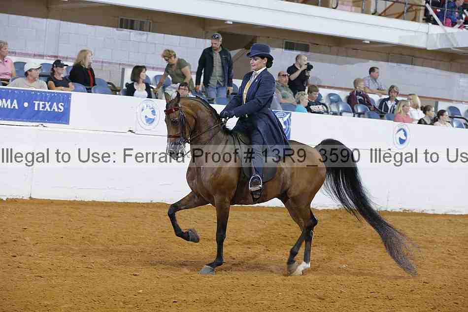 Proof 13r9_3590