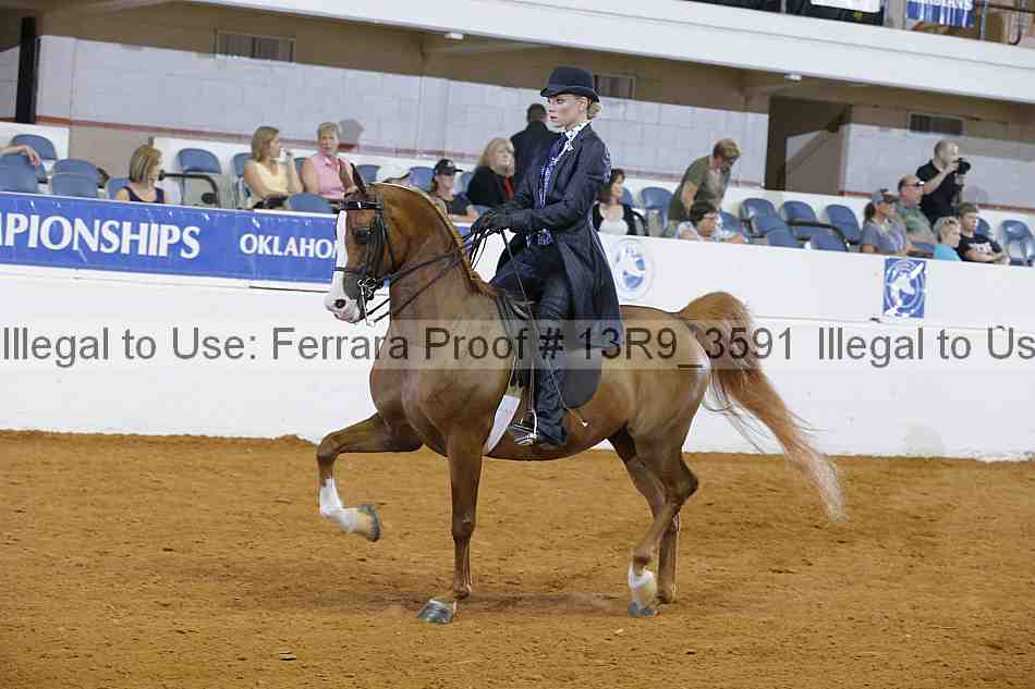 Proof 13r9_3591