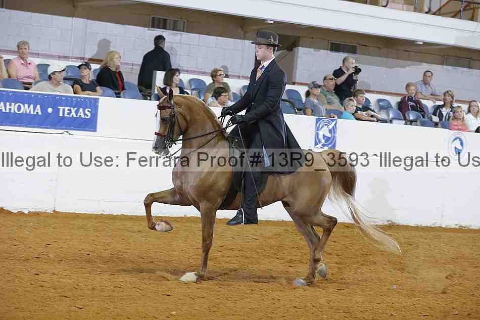 Proof 13r9_3593