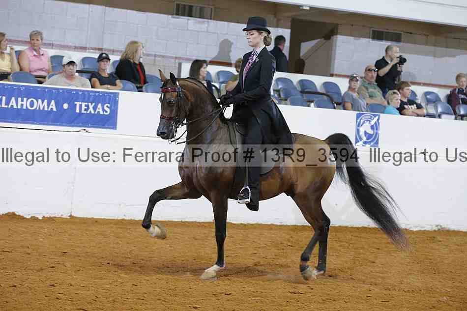 Proof 13r9_3594