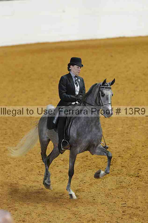Proof 13r9_3595