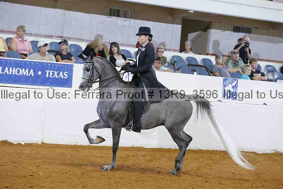 Proof 13r9_3596
