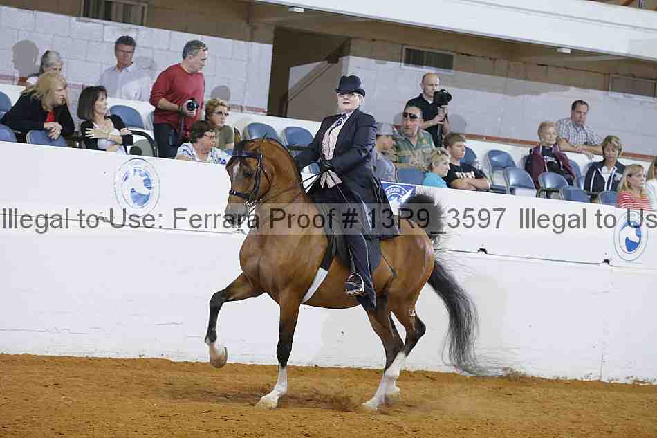 Proof 13r9_3597