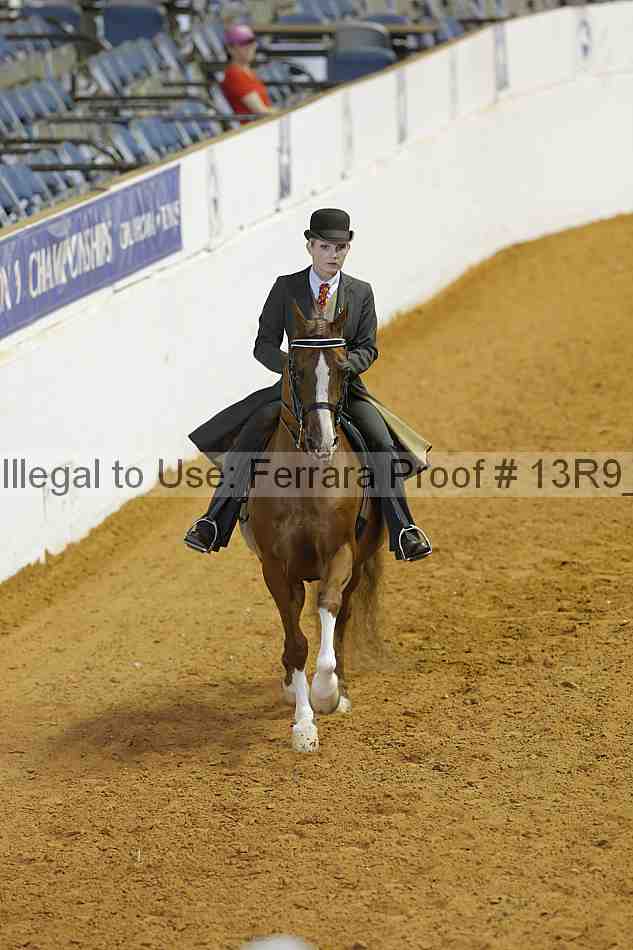 Proof 13r9_3599