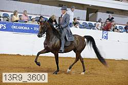13r9_3600 proof