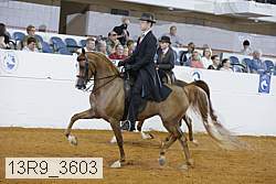 13r9_3603 proof
