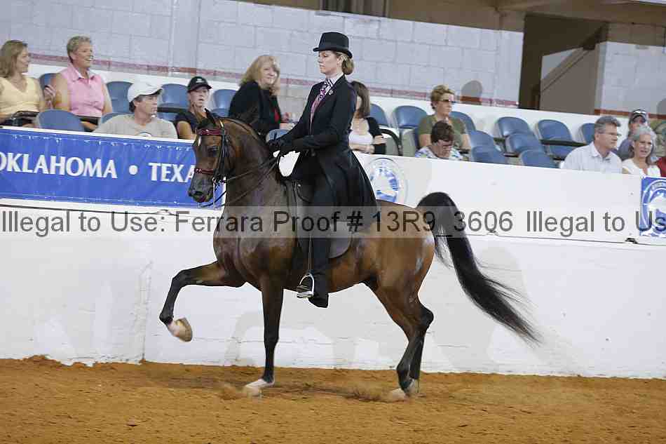 Proof 13r9_3606