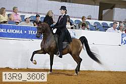 13r9_3606 proof