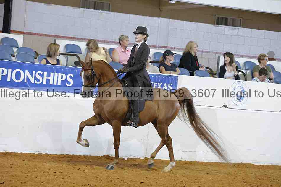 Proof 13r9_3607