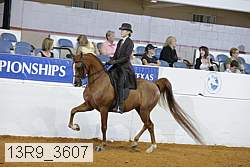 13r9_3607 proof