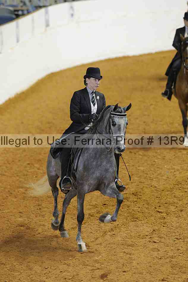 Proof 13r9_3608