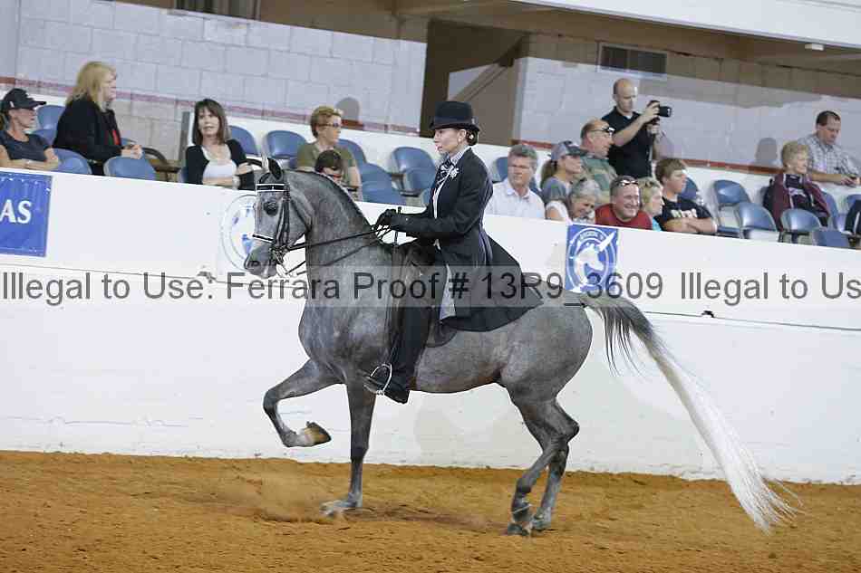 Proof 13r9_3609