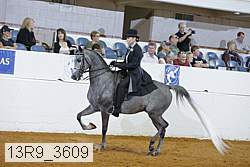 13r9_3609 proof