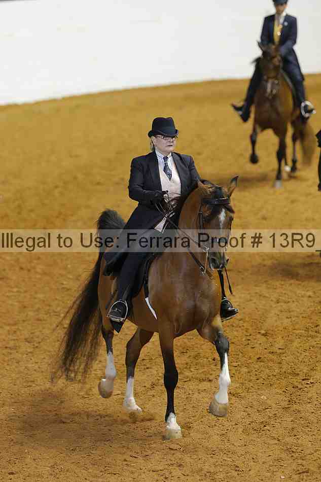 Proof 13r9_3610