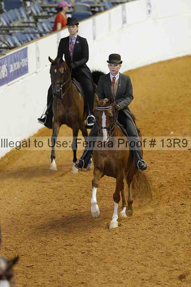 Proof 13r9_3618