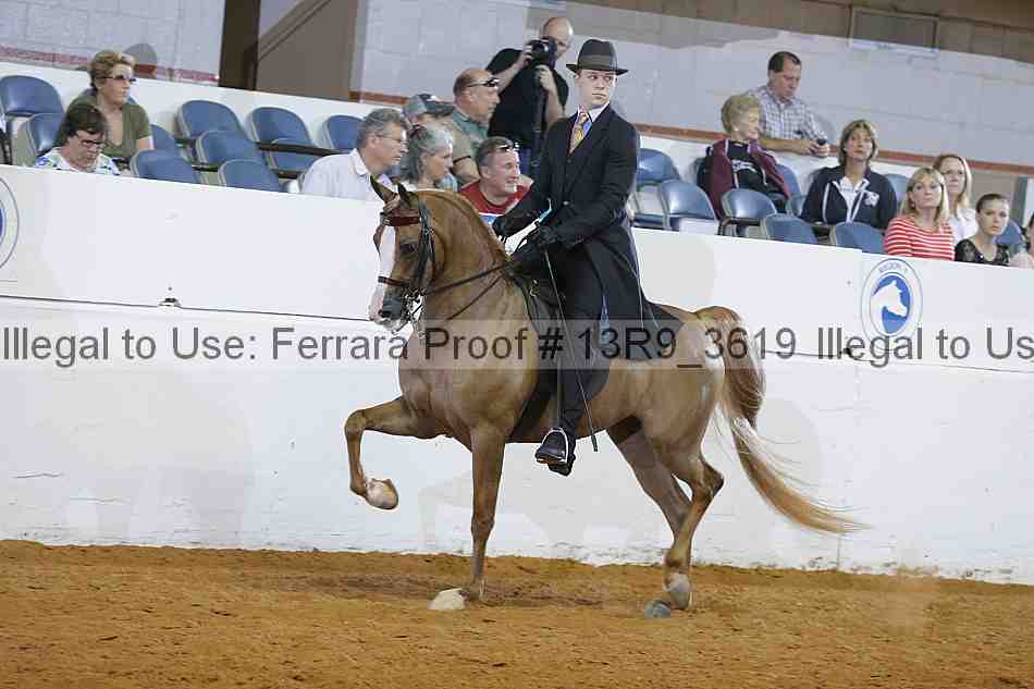 Proof 13r9_3619
