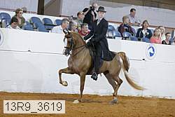 13r9_3619 proof