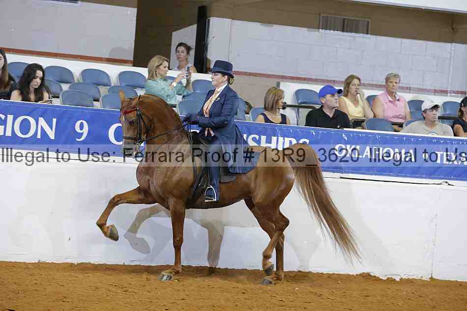 Proof 13r9_3620