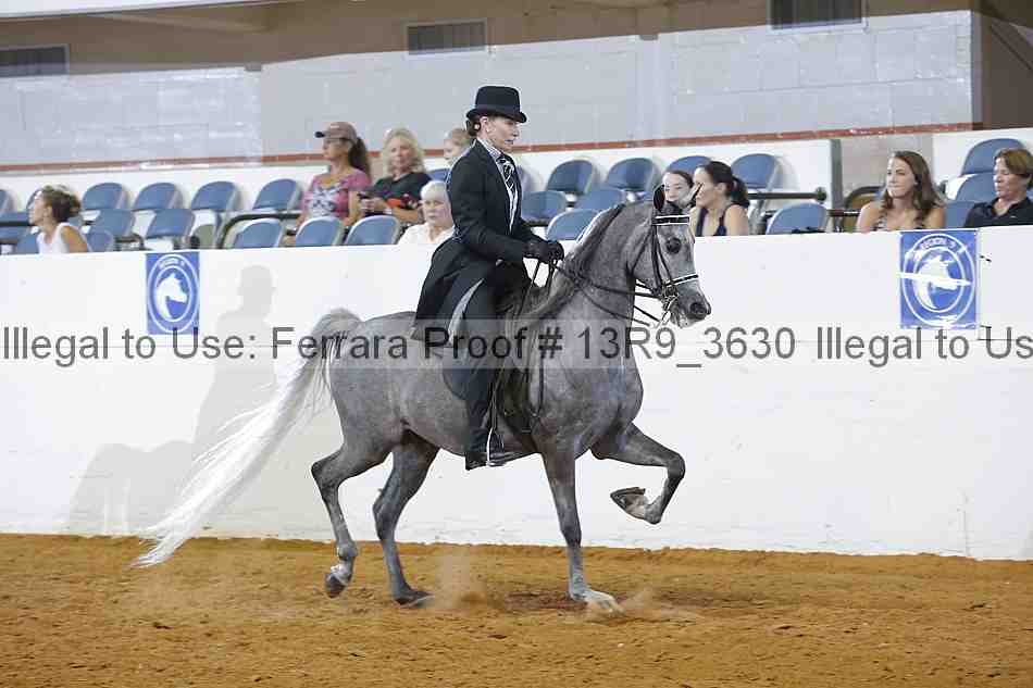 Proof 13r9_3630