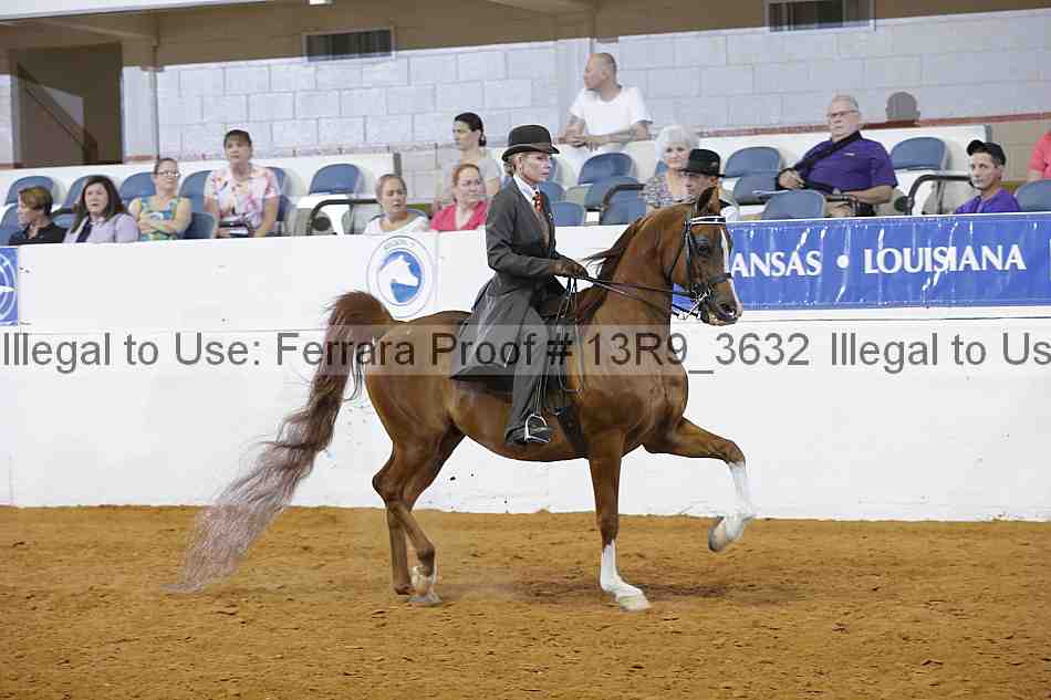 Proof 13r9_3632