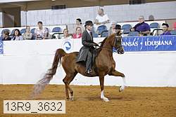 13r9_3632 proof