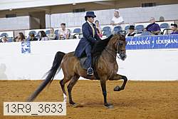 13r9_3633 proof