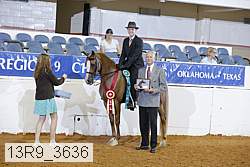 13r9_3636 proof