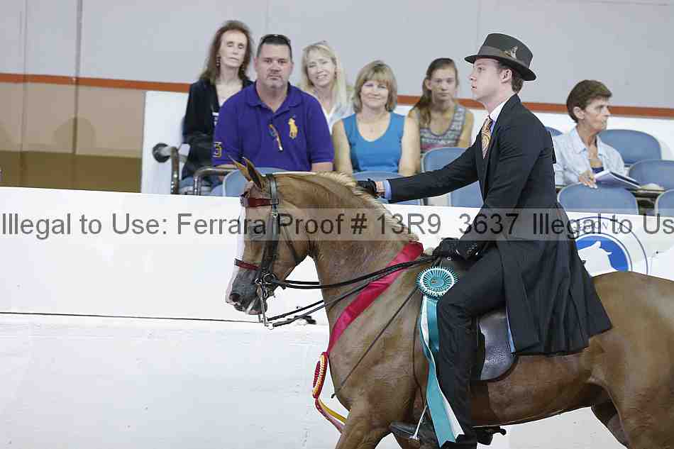 Proof 13r9_3637