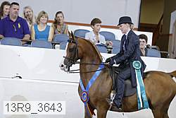 13r9_3643 proof