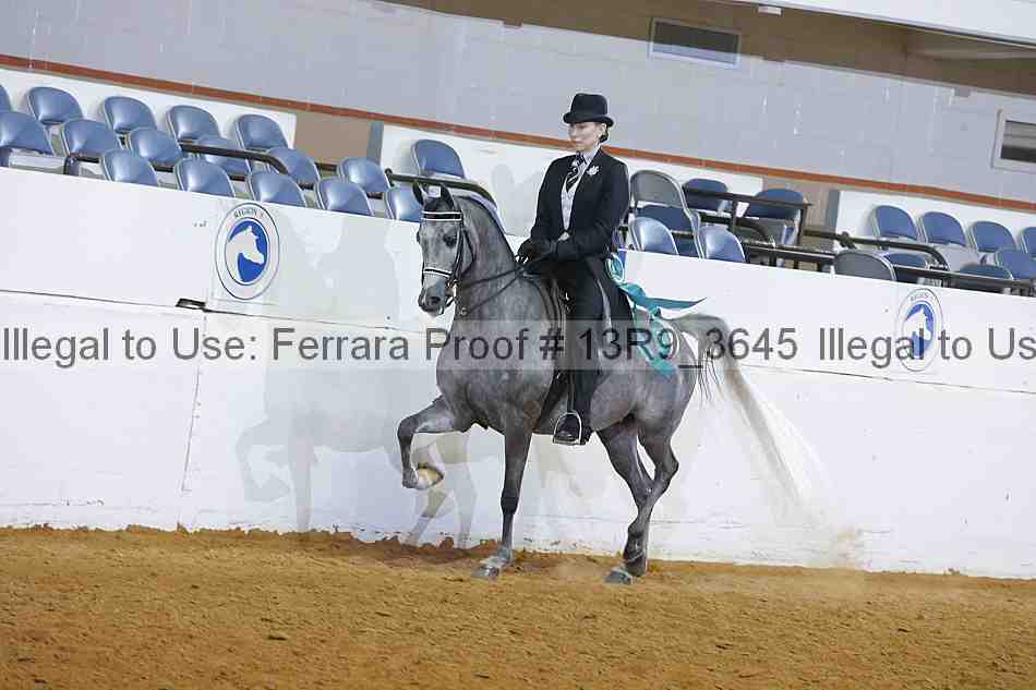 Proof 13r9_3645