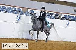 13r9_3645 proof