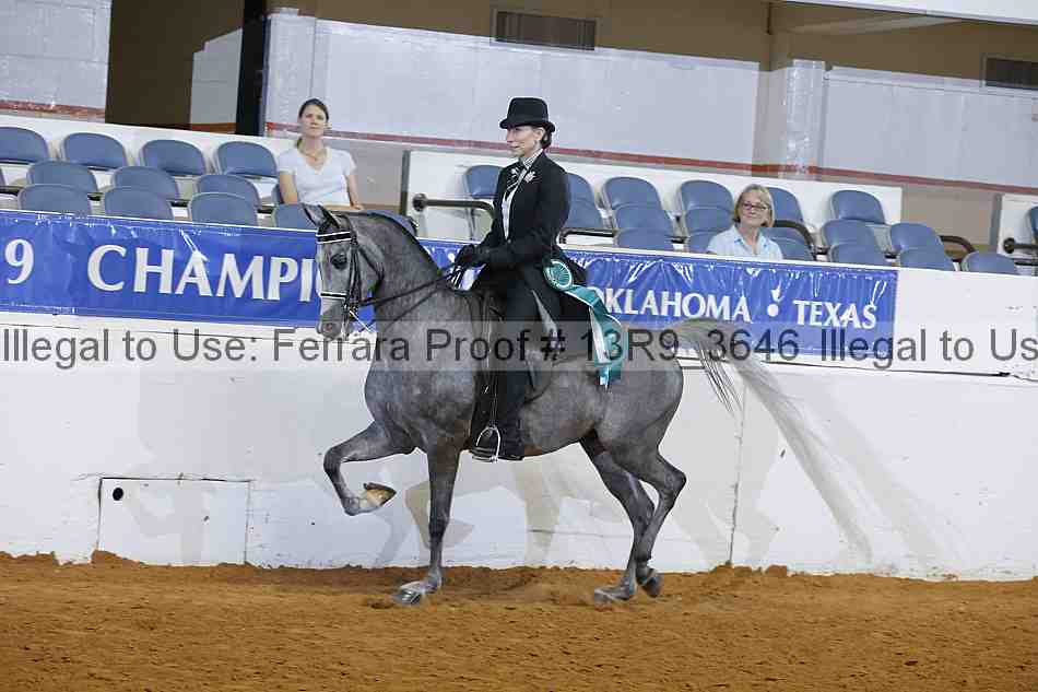 Proof 13r9_3646