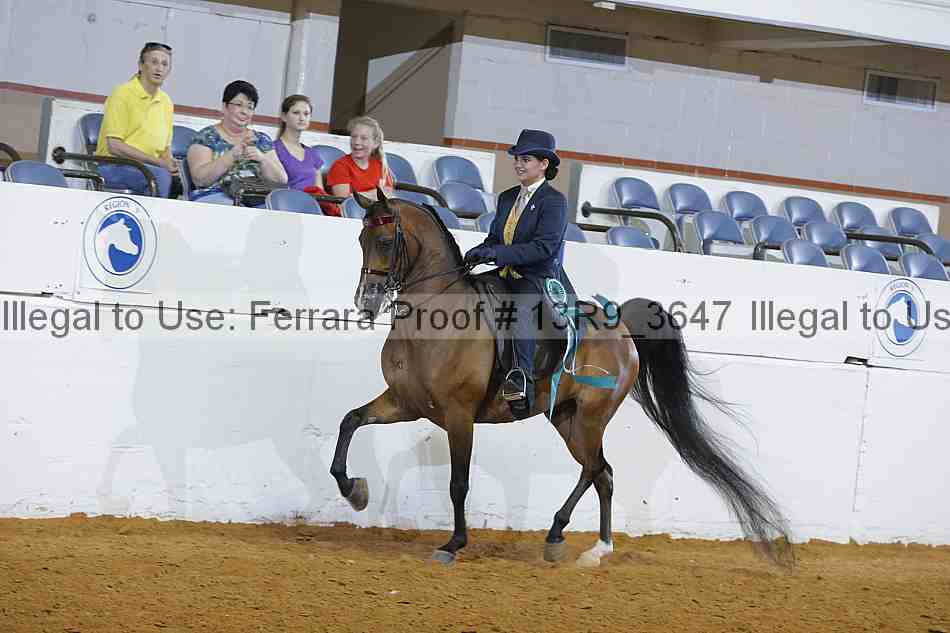 Proof 13r9_3647