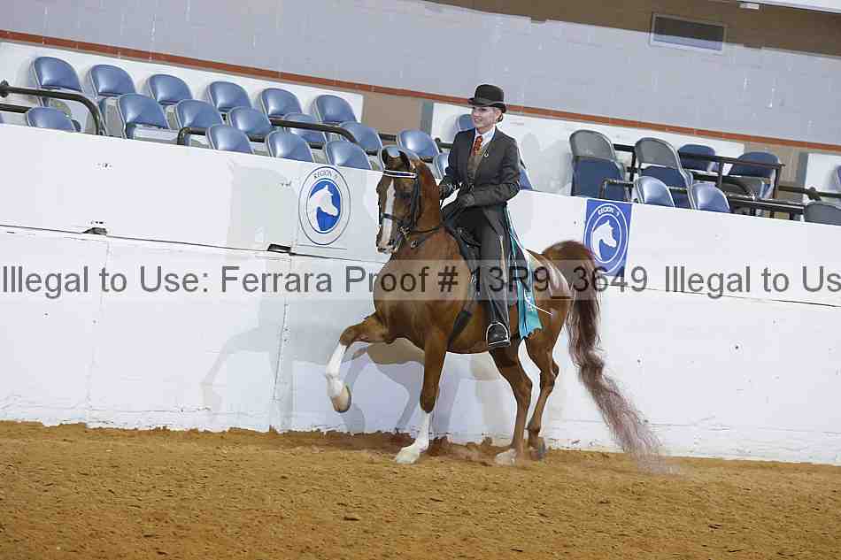 Proof 13r9_3649