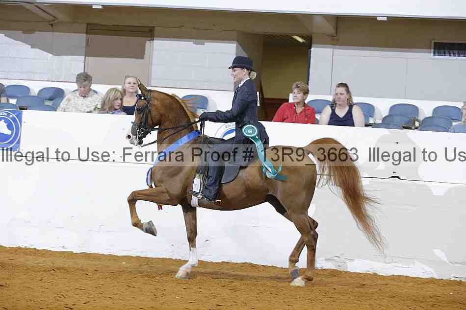 Proof 13r9_3663