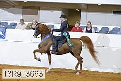 13r9_3663 proof