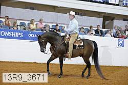 13r9_3671 proof