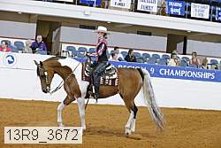 13r9_3672 proof